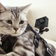 Yi Action Cam, $50 with code D4Y4G625. Cat harness not included.